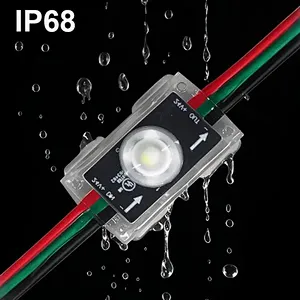 Smart Outdoor RGB Single-Point LED Module